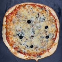 Ludo